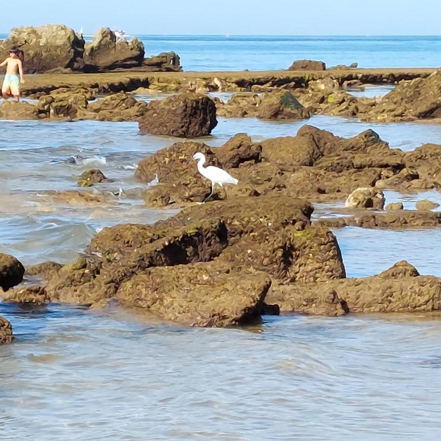 Paradise In Olhos D'Agua Beach Albufeira Bagian luar foto